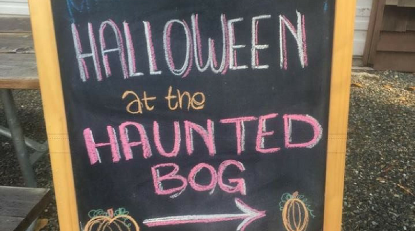 Halloween in the Haunted Peat Bog Wrap Up