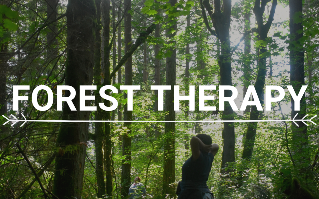 Forest Bathing at SHADOW with Cascadia Forest Therapy