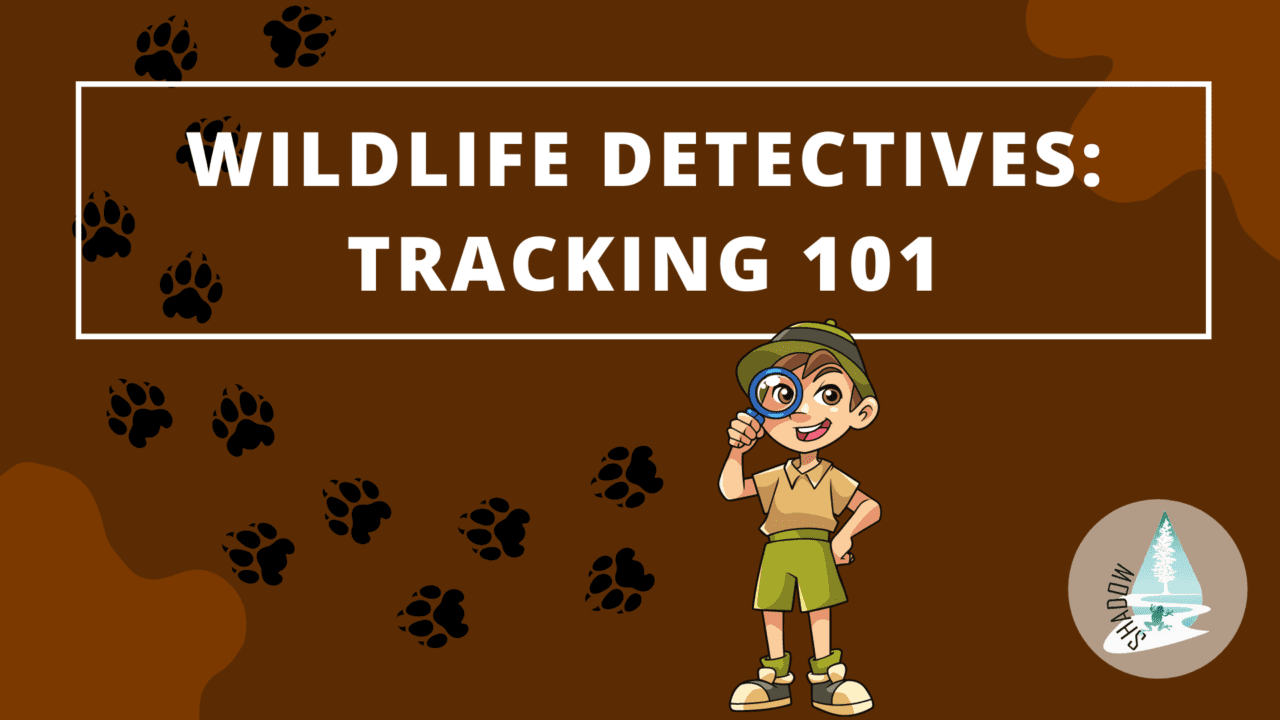 Wildlife Detectives Tracking 101 Shadow