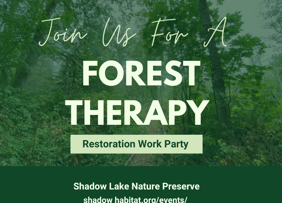 Mindful Restoration Work Party with Cascadia Forest Therapy!