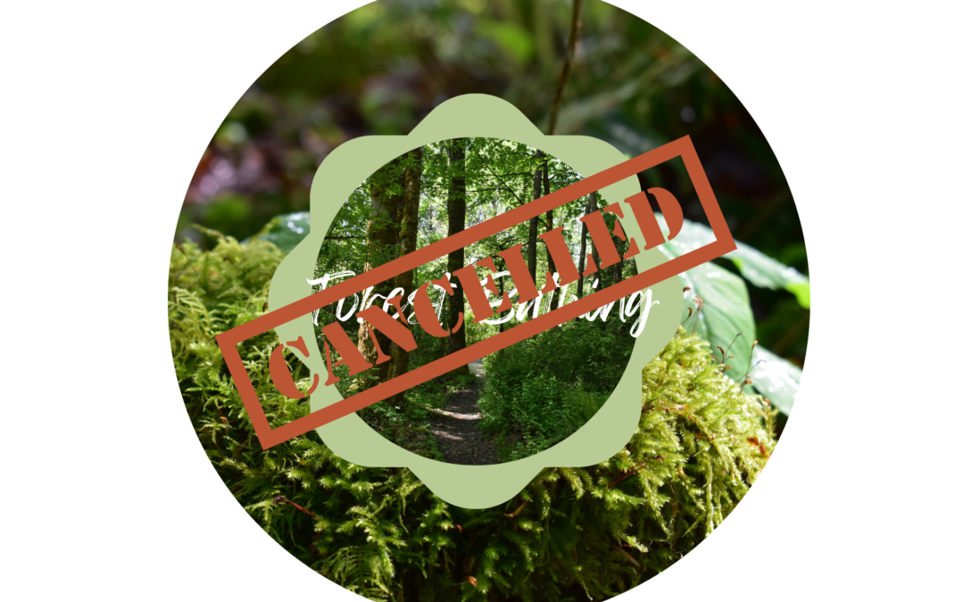 Forest Bathing: Apologies- today’s event will be rescheduled