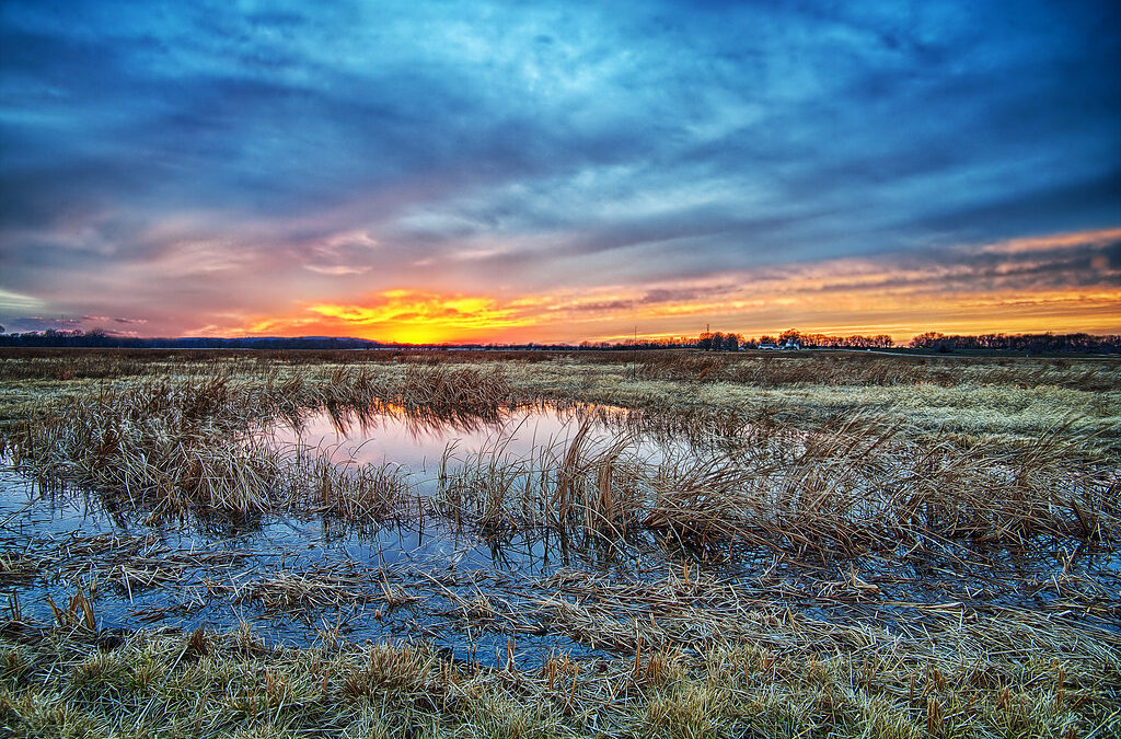 Science Communications: Cultural Significance of Wetlands