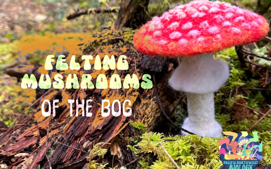 Felting Bog Mushrooms with PNW Biology