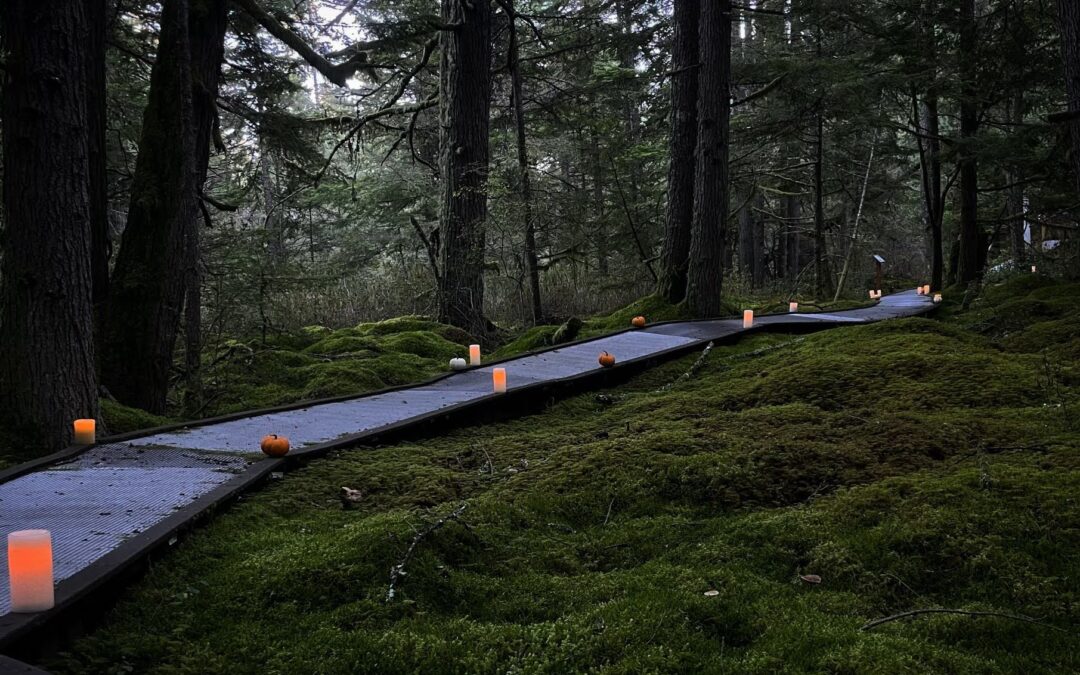 Guided Nature Walk: Halloween Haunted Bog Tour